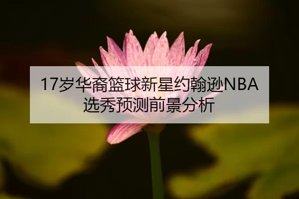 17岁华裔篮球新星约翰逊NBA选秀预测前景分析